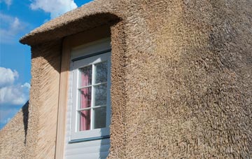 Leylodge thatch roof disadvantages